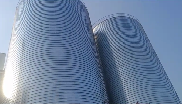 卫滨2座混凝土高架卷板仓